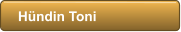 H�ndin Toni